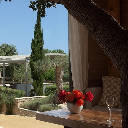 Villa Stolidi Mou Treehouse Atsipopoulo Esterno foto